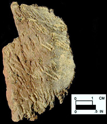Dames Quarter interior surface of body sherd from a Maryland unprovenienced site.